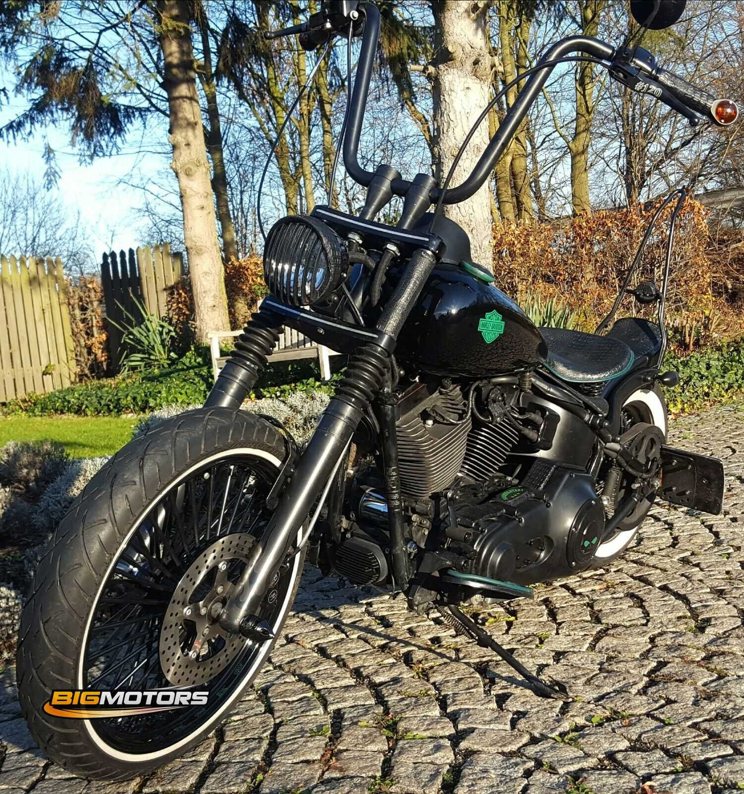 2001 Harley-Davidson Softail Twin Cam – Custom Build